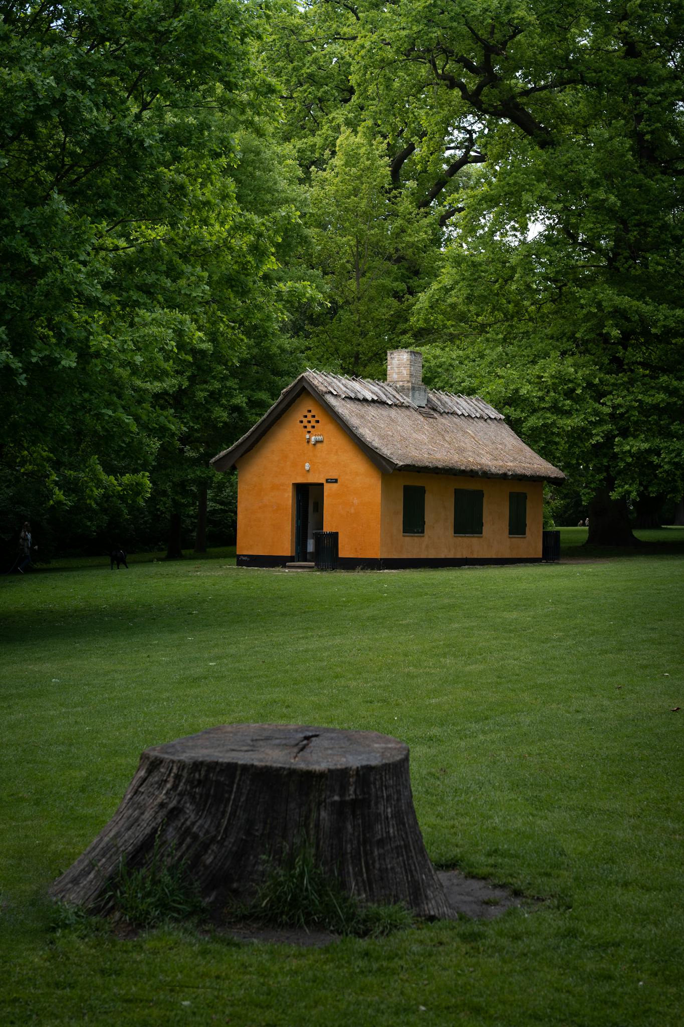 A rustic yellow cottage surrounded by lush greenery in a serene landscape with a tree stump in the foreground.