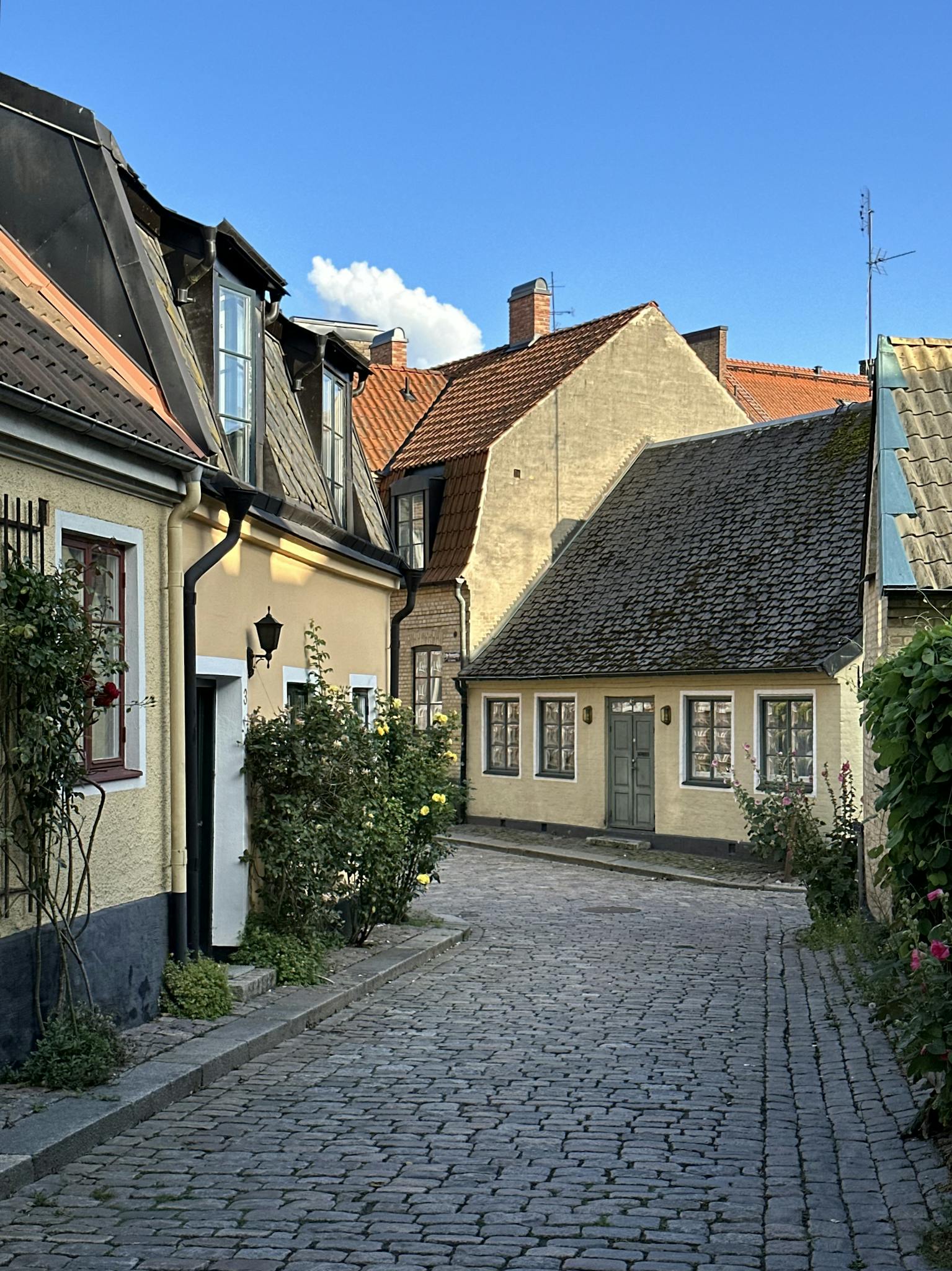 Quaint cobblestone street scene with historic homes in Lund, Sweden. Perfect for travel and architecture enthusiasts.